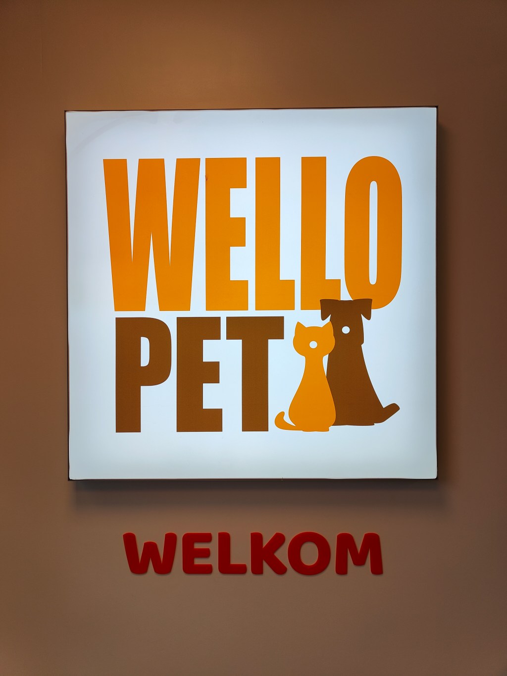 “Wat een bak bier al niet kan doen”