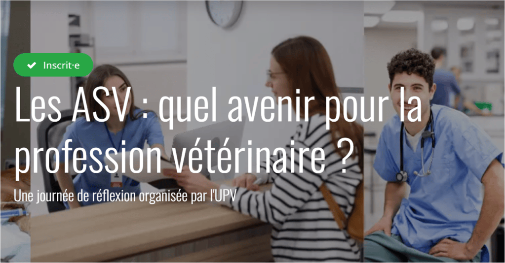 Van “de dierenarts” naar “het diergeneeskundige team”